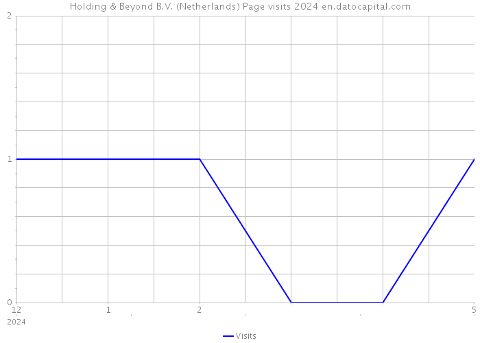 Holding & Beyond B.V. (Netherlands) Page visits 2024 