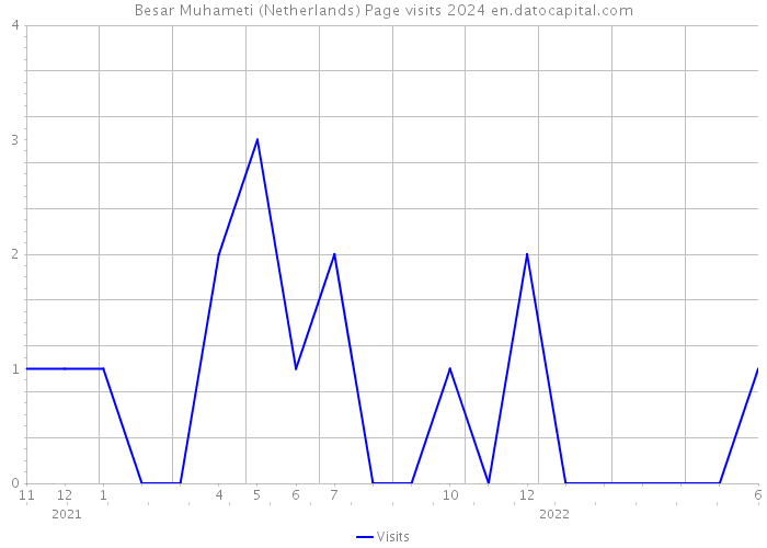 Besar Muhameti (Netherlands) Page visits 2024 
