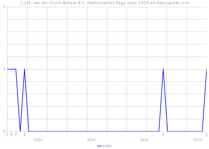 C.J.M. van der Voorn Beheer B.V. (Netherlands) Page visits 2024 