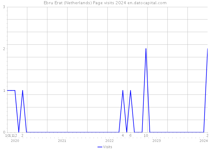 Ebru Erat (Netherlands) Page visits 2024 