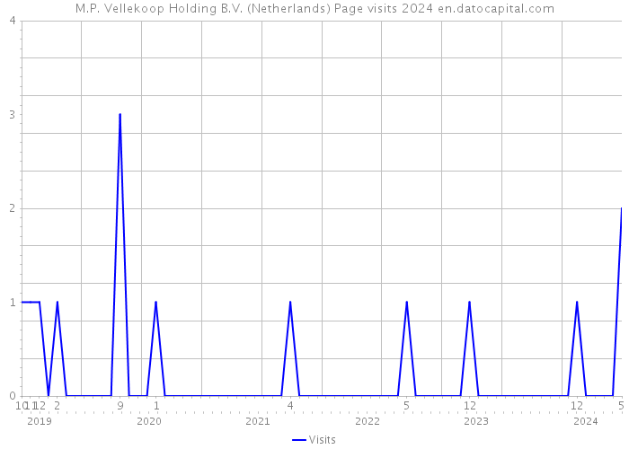 M.P. Vellekoop Holding B.V. (Netherlands) Page visits 2024 