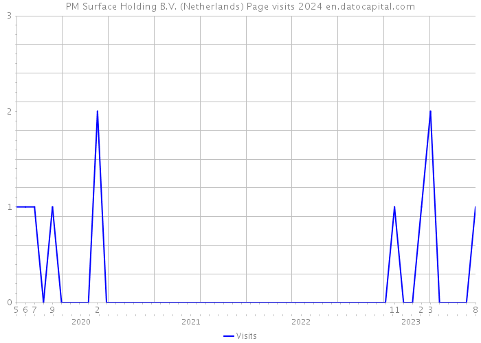 PM Surface Holding B.V. (Netherlands) Page visits 2024 