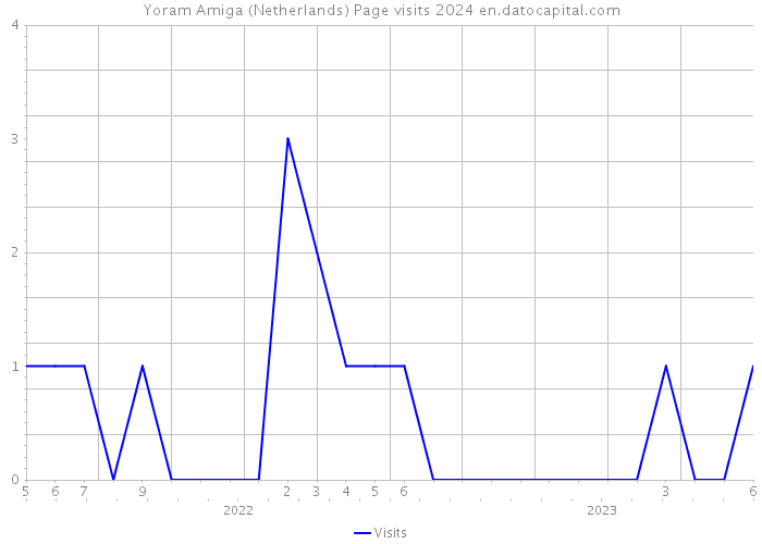 Yoram Amiga (Netherlands) Page visits 2024 