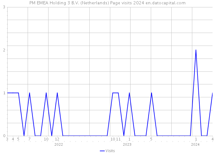 PM EMEA Holding 3 B.V. (Netherlands) Page visits 2024 