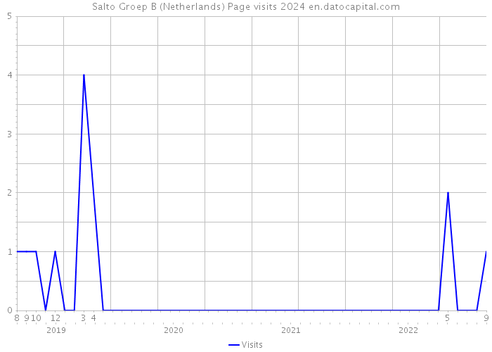 Salto Groep B (Netherlands) Page visits 2024 