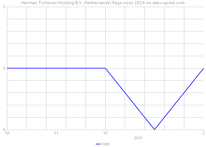 Herman Tomesen Holding B.V. (Netherlands) Page visits 2024 