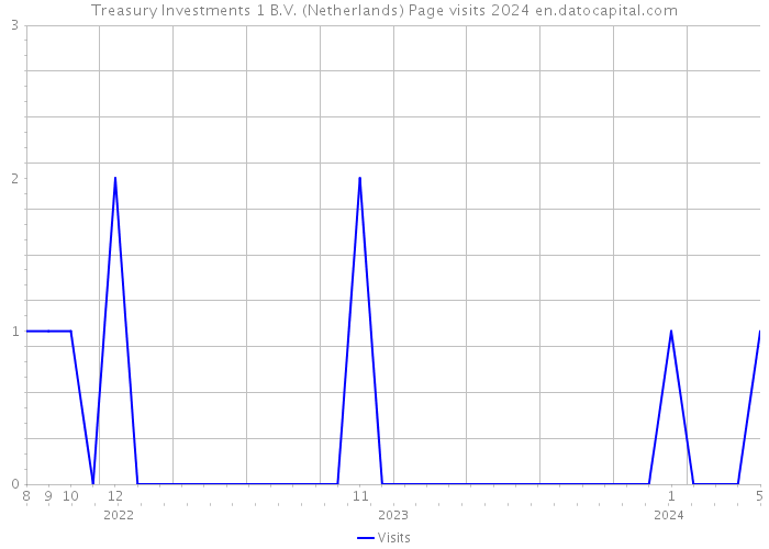 Treasury Investments 1 B.V. (Netherlands) Page visits 2024 