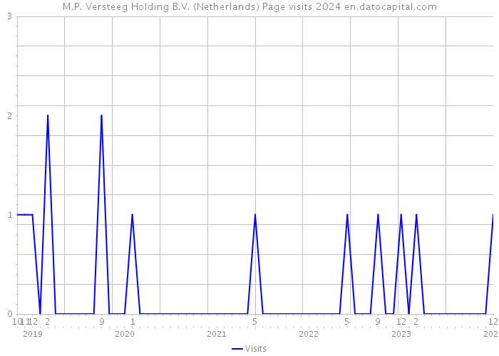 M.P. Versteeg Holding B.V. (Netherlands) Page visits 2024 
