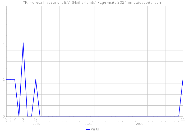 YRJ Horeca Investment B.V. (Netherlands) Page visits 2024 