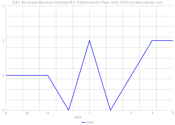E.B.I. European Business Institute B.V. (Netherlands) Page visits 2024 