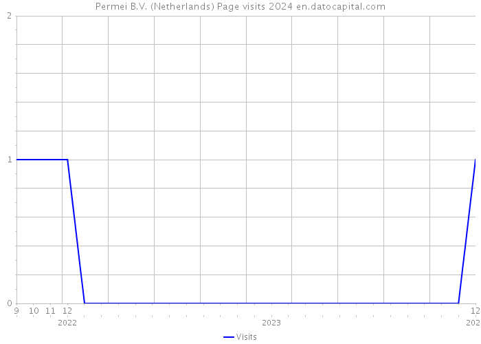 Permei B.V. (Netherlands) Page visits 2024 