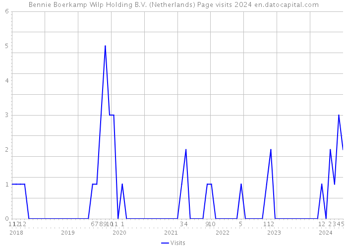 Bennie Boerkamp Wilp Holding B.V. (Netherlands) Page visits 2024 