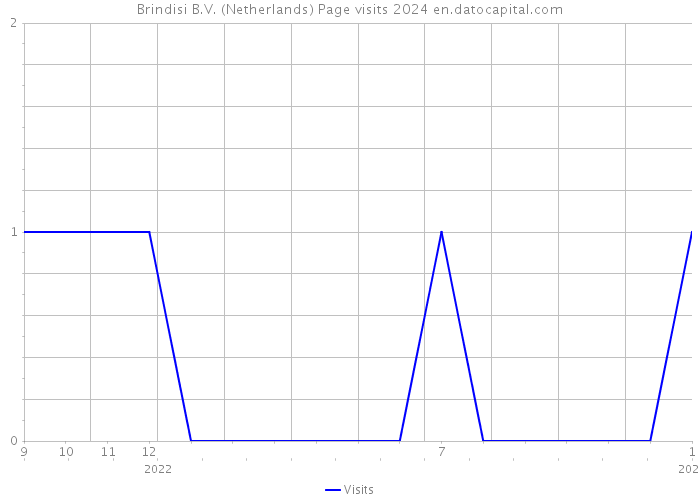 Brindisi B.V. (Netherlands) Page visits 2024 