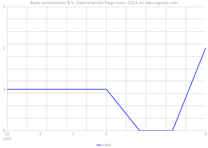 Badu Investments B.V. (Netherlands) Page visits 2024 