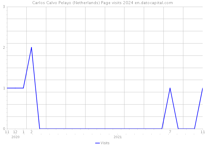Carlos Calvo Pelayo (Netherlands) Page visits 2024 
