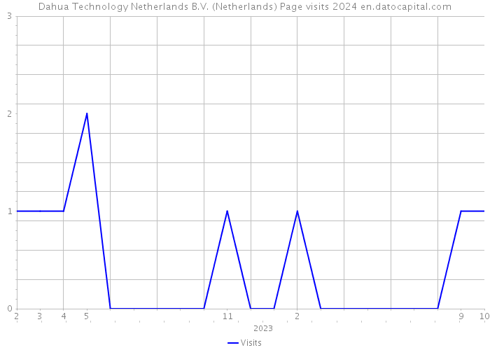Dahua Technology Netherlands B.V. (Netherlands) Page visits 2024 