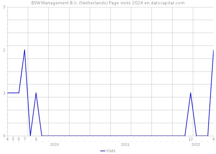 BSW Management B.V. (Netherlands) Page visits 2024 