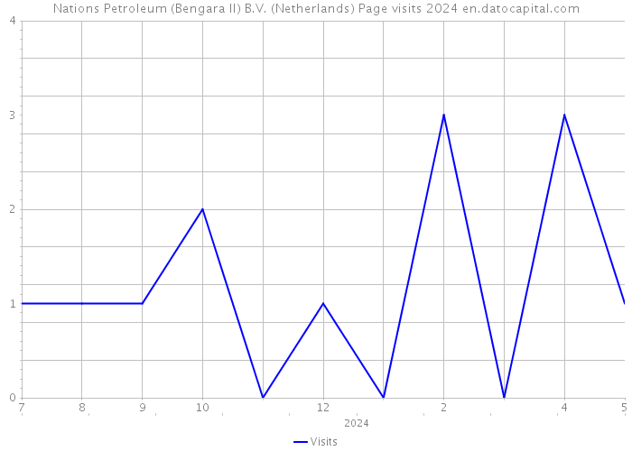 Nations Petroleum (Bengara II) B.V. (Netherlands) Page visits 2024 
