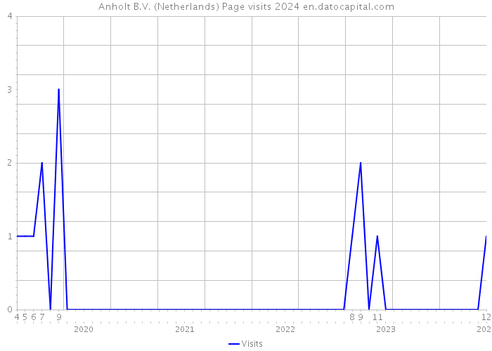 Anholt B.V. (Netherlands) Page visits 2024 