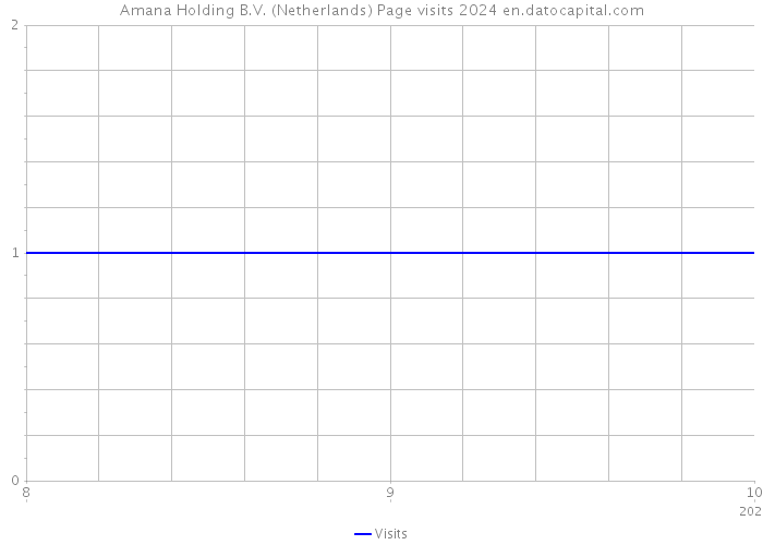 Amana Holding B.V. (Netherlands) Page visits 2024 