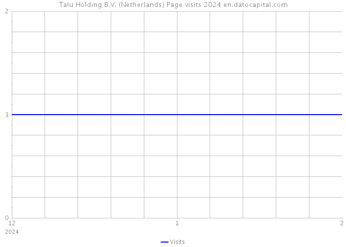 Talu Holding B.V. (Netherlands) Page visits 2024 