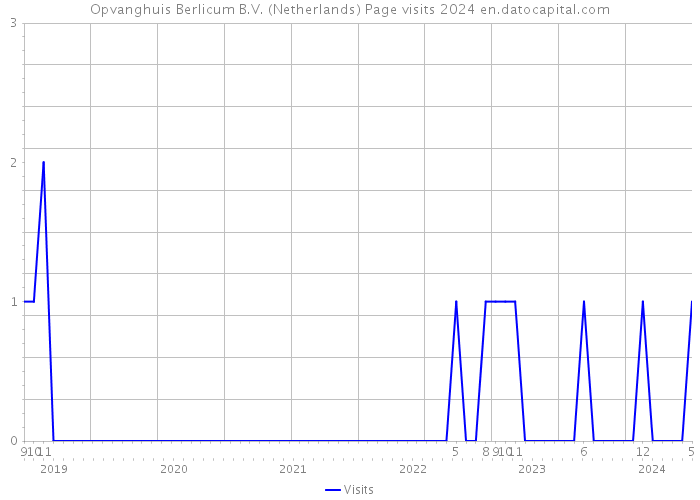 Opvanghuis Berlicum B.V. (Netherlands) Page visits 2024 