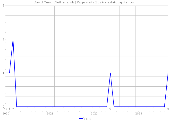 David Yeng (Netherlands) Page visits 2024 