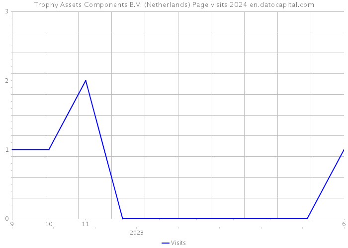 Trophy Assets Components B.V. (Netherlands) Page visits 2024 