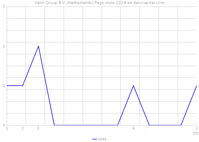 Valm Group B.V. (Netherlands) Page visits 2024 
