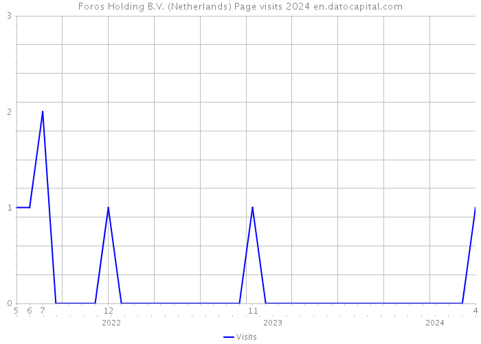 Foros Holding B.V. (Netherlands) Page visits 2024 