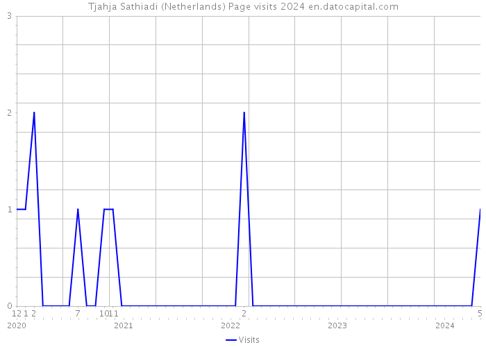 Tjahja Sathiadi (Netherlands) Page visits 2024 