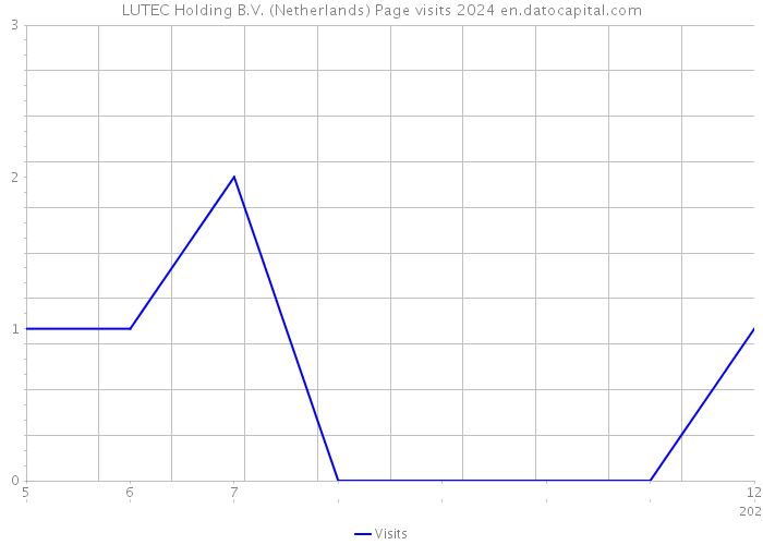 LUTEC Holding B.V. (Netherlands) Page visits 2024 