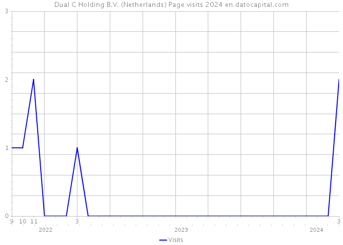 Dual C Holding B.V. (Netherlands) Page visits 2024 