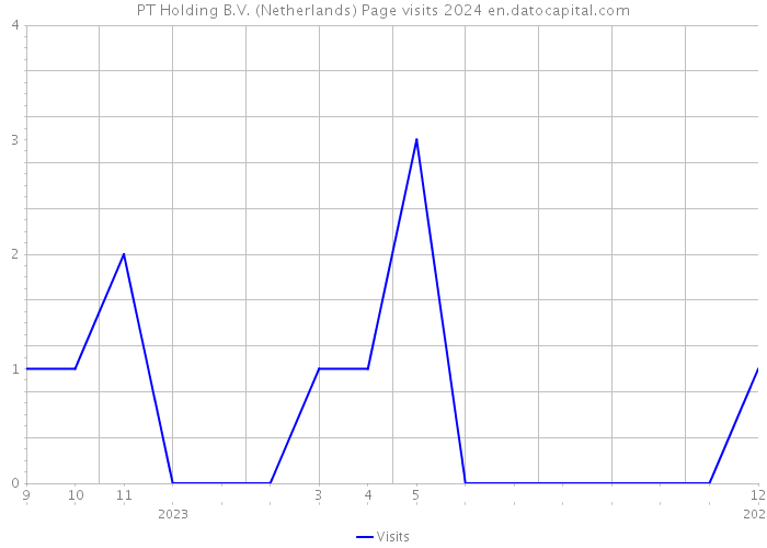 PT Holding B.V. (Netherlands) Page visits 2024 