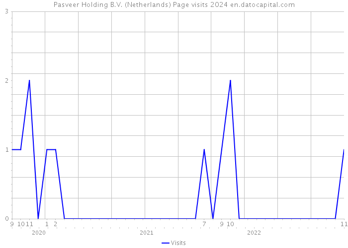 Pasveer Holding B.V. (Netherlands) Page visits 2024 