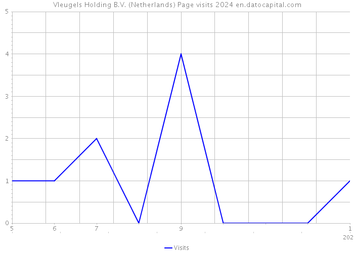 Vleugels Holding B.V. (Netherlands) Page visits 2024 