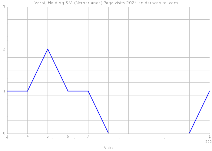 Verbij Holding B.V. (Netherlands) Page visits 2024 