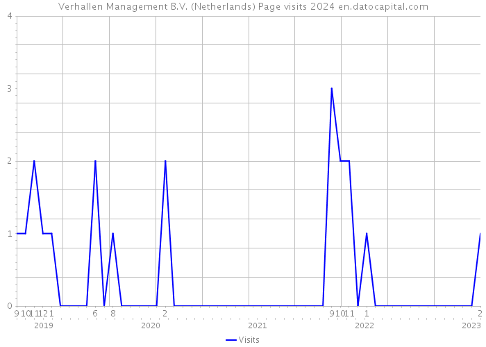 Verhallen Management B.V. (Netherlands) Page visits 2024 