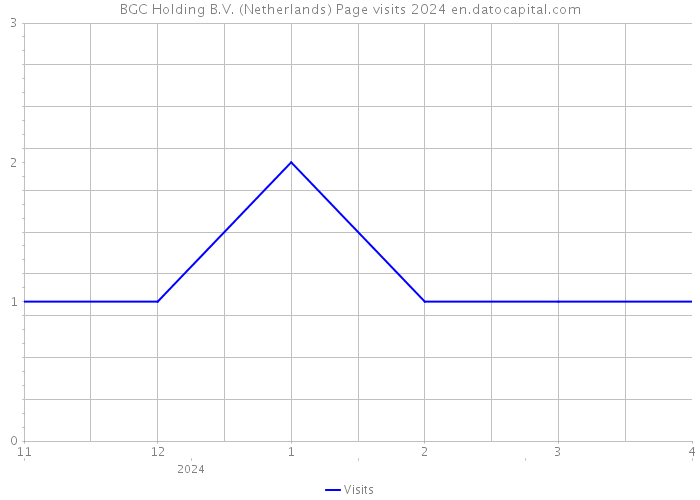 BGC Holding B.V. (Netherlands) Page visits 2024 