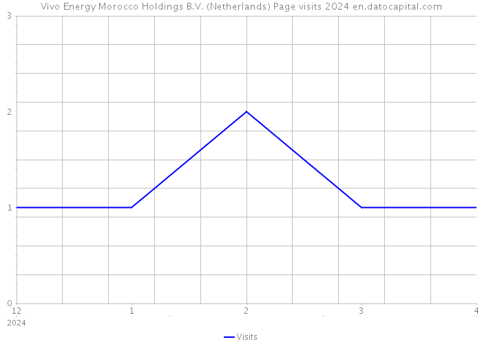 Vivo Energy Morocco Holdings B.V. (Netherlands) Page visits 2024 