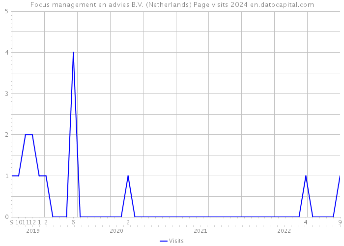 Focus management en advies B.V. (Netherlands) Page visits 2024 