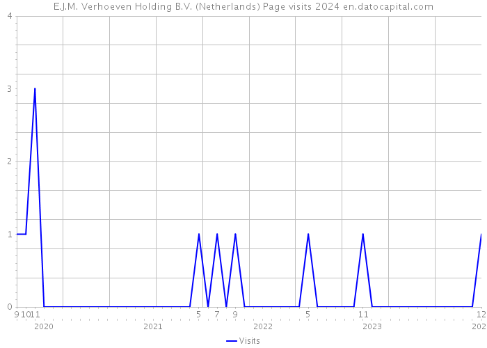 E.J.M. Verhoeven Holding B.V. (Netherlands) Page visits 2024 
