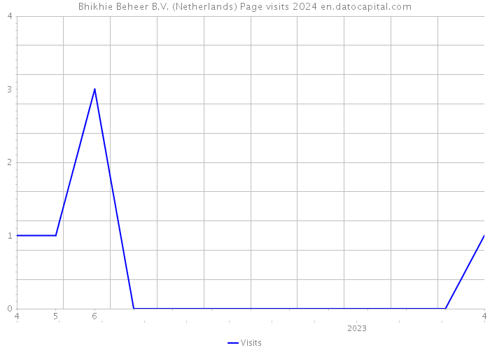 Bhikhie Beheer B.V. (Netherlands) Page visits 2024 