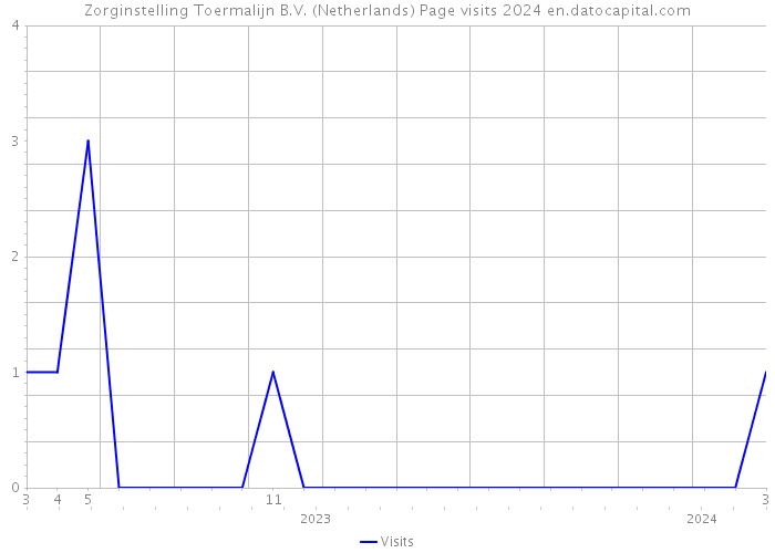 Zorginstelling Toermalijn B.V. (Netherlands) Page visits 2024 