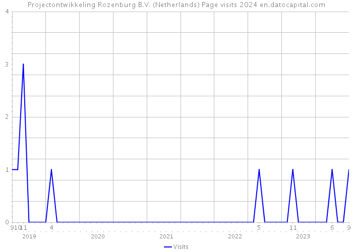 Projectontwikkeling Rozenburg B.V. (Netherlands) Page visits 2024 