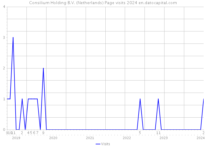 Consilium Holding B.V. (Netherlands) Page visits 2024 