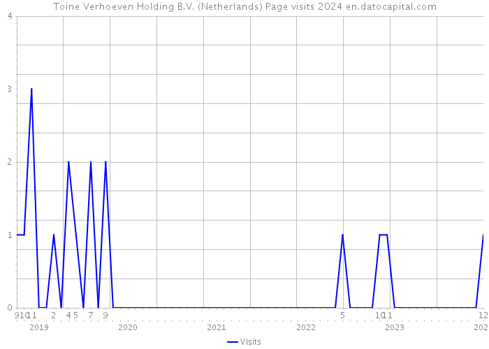 Toine Verhoeven Holding B.V. (Netherlands) Page visits 2024 