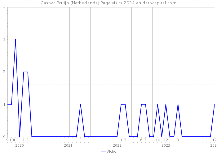 Casper Pruijn (Netherlands) Page visits 2024 