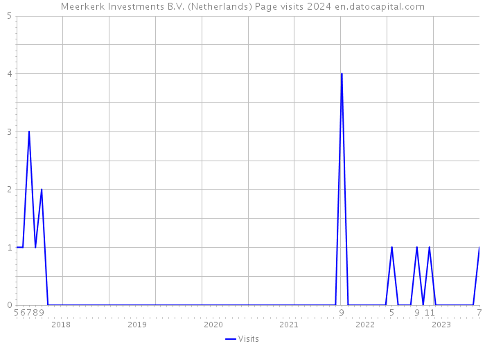 Meerkerk Investments B.V. (Netherlands) Page visits 2024 