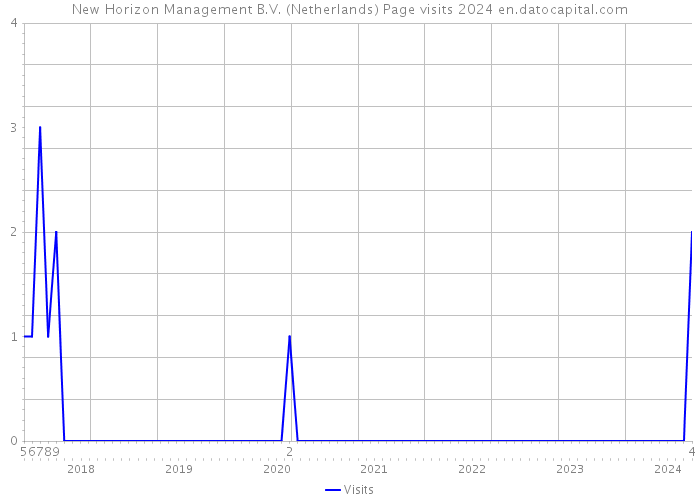 New Horizon Management B.V. (Netherlands) Page visits 2024 